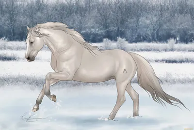 5D Алмазная картина Лошадь Животное Зима Снег Полный круглый дрель Вышивка  крестиком Алмазная вышивка – купить по низким ценам в интернет-магазине Joom