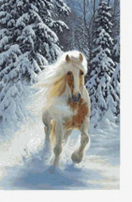 Упряжках Лошади Зима - Бесплатное фото на Pixabay - Pixabay