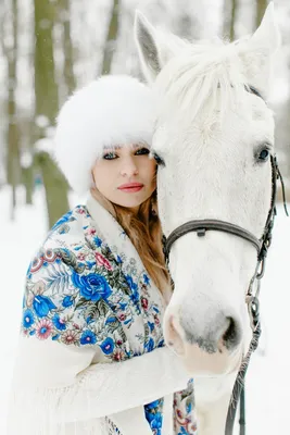 Лошадь на ферме зимой | Премиум Фото