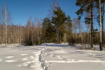 Фото конец зимы фотографии