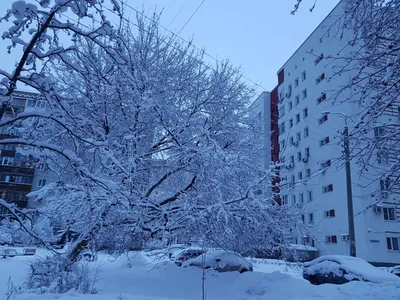 Конец зимы / Природа Беларуси