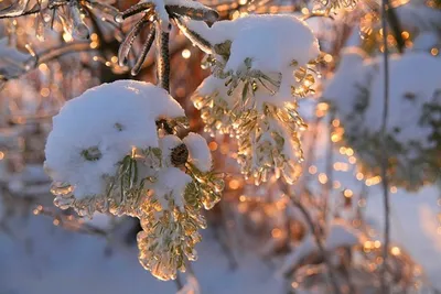 Волжский под конец зимы превратился в новогоднюю сказку: снежный  фоторепортаж