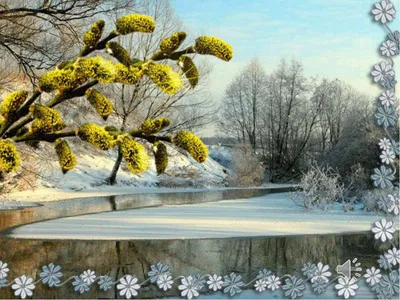 Погода до конца зимы Украина - народный синоптик назвал даты снегопадов и  морозов