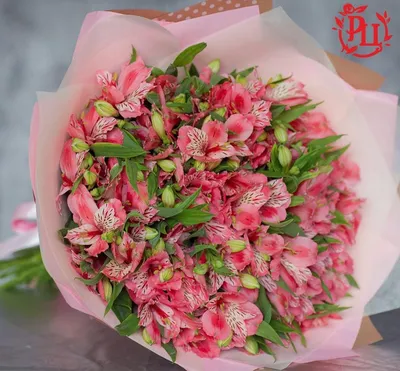 Букет кустовых роз Сильвер Шедоу | доставка по Москве и области