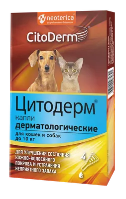 В России не планируют вводить налоги на кошек и собак | Ветеринария и жизнь