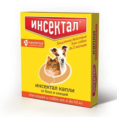 Ученые выяснили, кто живет дольше – собаки или кошки | Ветеринария и жизнь