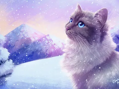 Обои кошка, кот, рыжий, лапы, лежит, снег, зима, природа картинки на  рабочий стол, фото скачать бесплатно