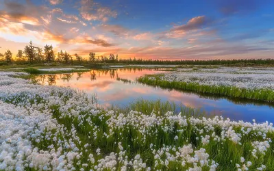 Красота природы весной (58 фото) - 58 фото
