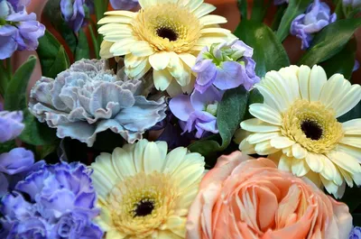 Большие букеты цветов купить доставка в Санкт-Петербурге