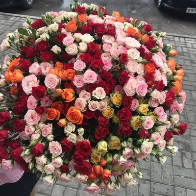 Цветы для осенних именинников Ателье оттенков а также подарков “Бревно Букет”  – Dra. Luciana Paraguassu
