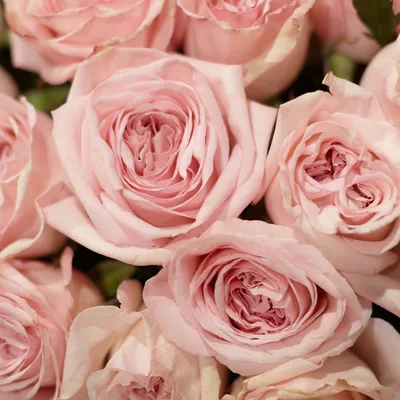 Красивые букеты цветов-это не только приятно,но и прекрасное дополнение к  подарку ,на любом торжестве🥰 Больше букетов в сторис… | Instagram