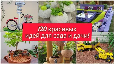 Красивая предпосылка дачи куста красных роз Стоковое Фото - изображение  насчитывающей цветок, флористическо: 56621036