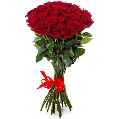 Букет \"Комплимент\" из красных роз - Доставка свежих цветов в Красноярске