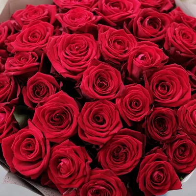 Букет из 25 красных роз от Интер-Флора | Доставка и заказ цветов в  Железногорске Курской области