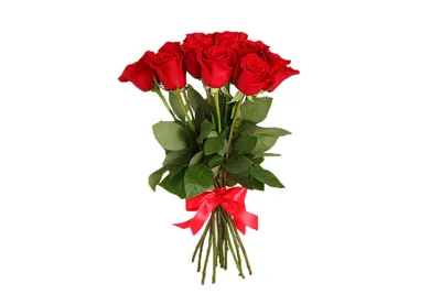 19 красных роз с эвкалиптом за 7 690 руб. | Бесплатная доставка цветов по  Москве