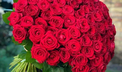 Букет \"Из красных роз 80 см под ленту\" с доставкой в Москве — Фло-Алло.Ру,  свежие цветы с бесплатной доставкой