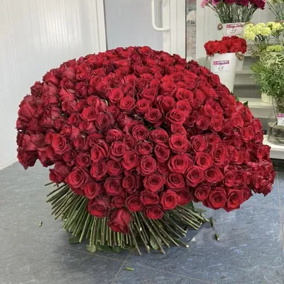 ❤️ Букет красных роз №734 – ЦВЕТЫ 2.0