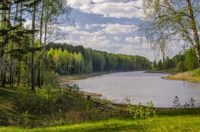 Красивый весенний сад (48 фото) - фото - картинки и рисунки: скачать  бесплатно