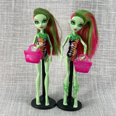 Кукла Монстер Хай Венера МакФлайтрап базовая с питомцем Monster High Venus  McFlytrap Вasic – фото, отзывы, характеристики в интернет-магазине ROZETKA  от продавца: Eraopt | Купить в Украине: Киеве, Харькове, Днепре, Одессе,  Запорожье,