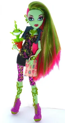 Кукла Монстер Хай Венера МакФлайтрап базовая с питомцем Monster High Venus  McFlytrap Вasic – фото, отзывы, характеристики в интернет-магазине ROZETKA  от продавца: Eraopt | Купить в Украине: Киеве, Харькове, Днепре, Одессе,  Запорожье,