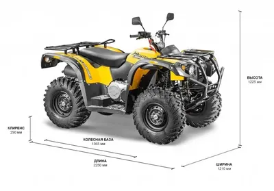 Купить Квадроцикл STELS ATV 800 GUEPARD TROPHY EPS Черный - цена 1150000 ₽  в Москве - в наличии.