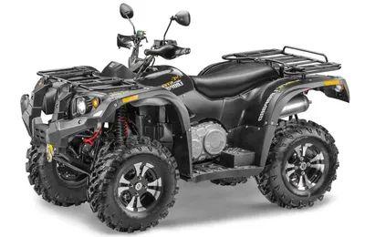 Квадроцикл STELS ATV 100RS купить ⋆ МотолигА