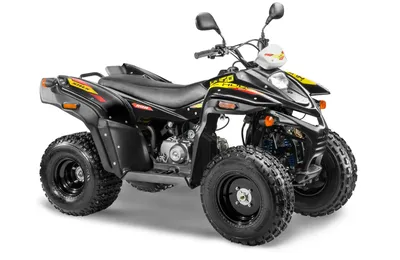 Купить Квадроцикл STELS ATV 500 YS LEOPARD Камуфляж - цена 610000 ₽ в Москве