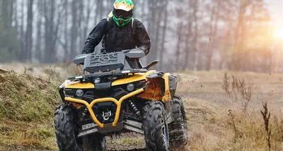 Квадроцикл STELS ATV 800G GUEPARD Trophy Камуфляж