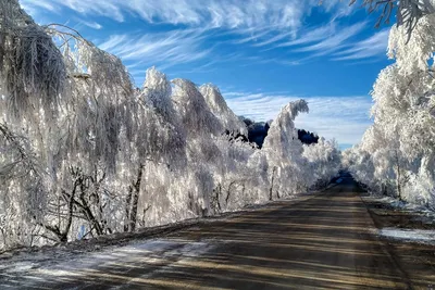 Переезд в Краснодар - Яркий вид - Плато Лаго-Наки 😇 #Природа #Красота #Зима  #Природа #ДавайНаКубань | Facebook