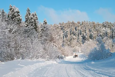 13.12 - Лаго-Наки