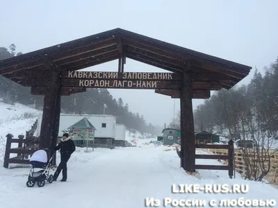 Зима - совсем рядом ❄️ на плато Лагонаки 😍 📍 КПП Кавказского заповедника  📷: Ирина Кахая | Instagram