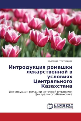 Свечи с экстрактом ромашки лекарственной Авицена (ID#1059620453), цена: 120  ₴, купить на Prom.ua