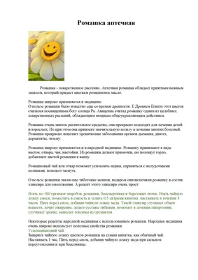 Оценка качества ромашки лекарственной, реализуемой в аптечных сетях города  Москвы