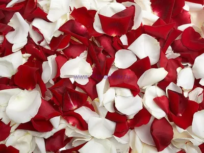 лепестки роз – La Lavanda - Красота и уют хэндмейд