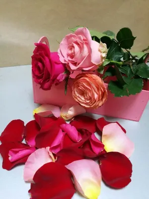 Лепестки роз | Доставка Цветов - Череповец - Ангажемент