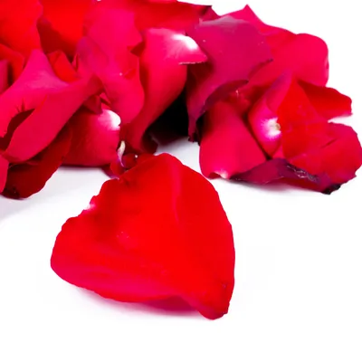 Лепестки роз искусственные айвори-бордо купить по цене 0.00 грн в магазине  рукоделия 100 идей