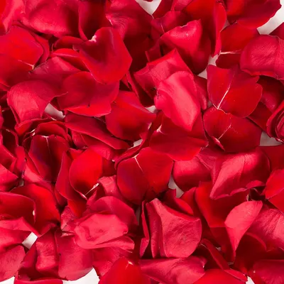 Купить красные лепестки роз в Москве с доставкой недорого