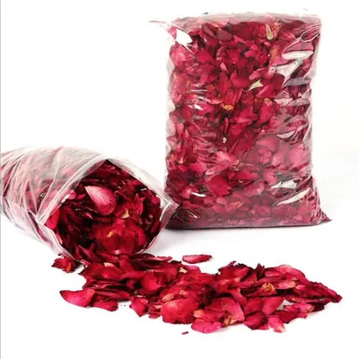 одна красная роза на тканевом фоне и россыпь лепестков роз Stock Photo |  Adobe Stock