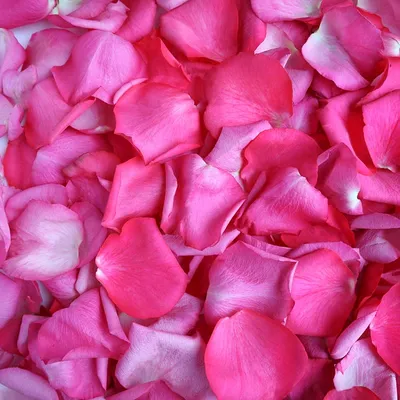1 упаковка сушеных лепестков роз, натуральный цветок для ванной, спа,  отбеливающий душ, сухие лепестки роз, снятие душа, ароматный массажер для  тела | AliExpress