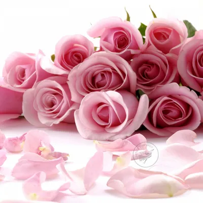 Розовые лепестки роз - купить по низким ценам с доставкой в Москве