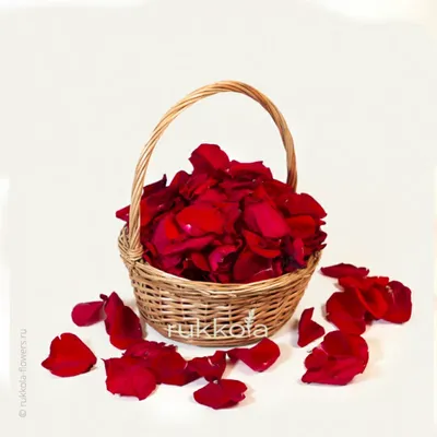 Купить 50 г сушеные лепестки роз, натуральные сухие цветочные лепестки,  спа-отбеливающий инструмент для душа и ванны | Joom