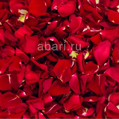 Лепестки роз – варенье для души и скраб для тела - 29.06.2021, Sputnik  Беларусь