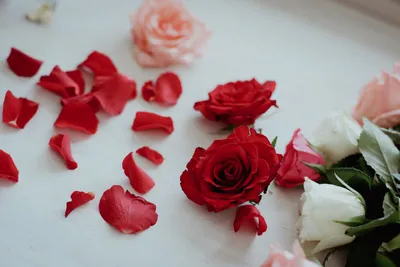 Заказать \"Лепестки роз\" | Цветули - уникальный сервис по доставке цветов  без накруток и посредников в городе Лесосибирск