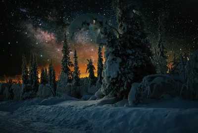 Зимние фоны: Зимний лес, природа зимой, зимние пейзажи, зима - 6 Февраля  2012 - Персональный сайт