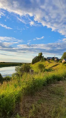 Лето в деревне | Пикабу