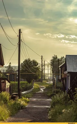 Лето в деревне - фото автора Колос на сайте Сергиев.ru