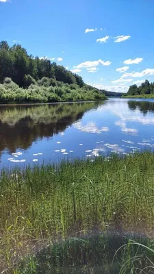 Август месяц. Лето уходит. Хорошо ли в деревне? Вспоминая детство. | Мы  деревенские? (Ёлкины) | Дзен