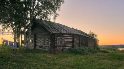 Лужский район в начале лета. Деревня Петрушина Гора, река Оредеж и  Молосовские озера: pohod_vosemvrat — LiveJournal