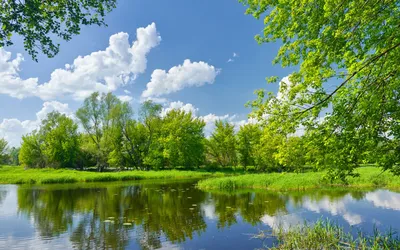 природный ландшафт в бухте летом, природа, лето, залив фон картинки и Фото  для бесплатной загрузки