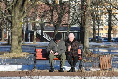 В Петербурге ледяной коллапс: люди ломают ноги, Смольный готовит реформу  ЖКХ - Газета.Ru